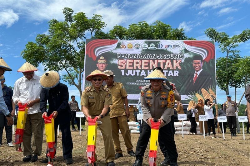 Polda Sulteng Tanam Jagung di 1.790 Hektare, Dorong Swasembada Pangan