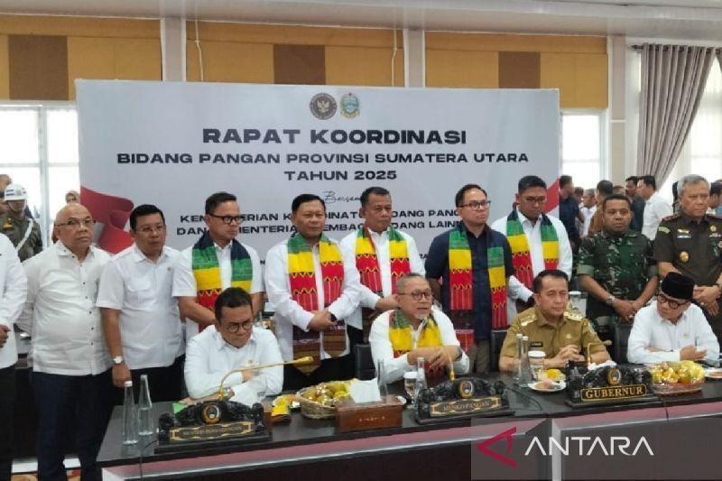 Menko Pangan Minta Pemda Dukung Swasembada Pangan Nasional