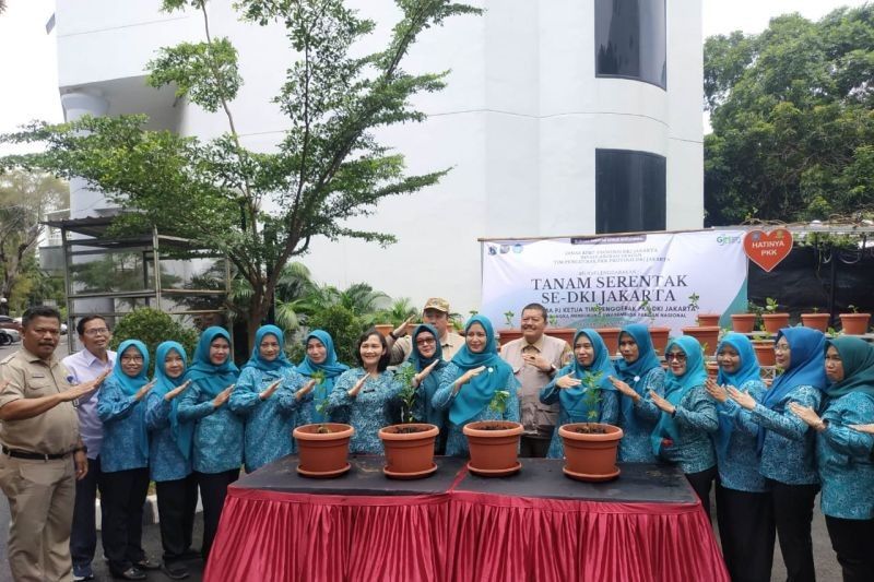 Kepulauan Seribu Tanam Sayuran di 66 Lokasi: Upaya Swasembada Pangan