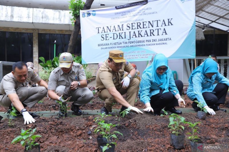 Jaktim Kembangkan Pertanian Perkotaan di 147 Lokasi untuk Ketahanan Pangan