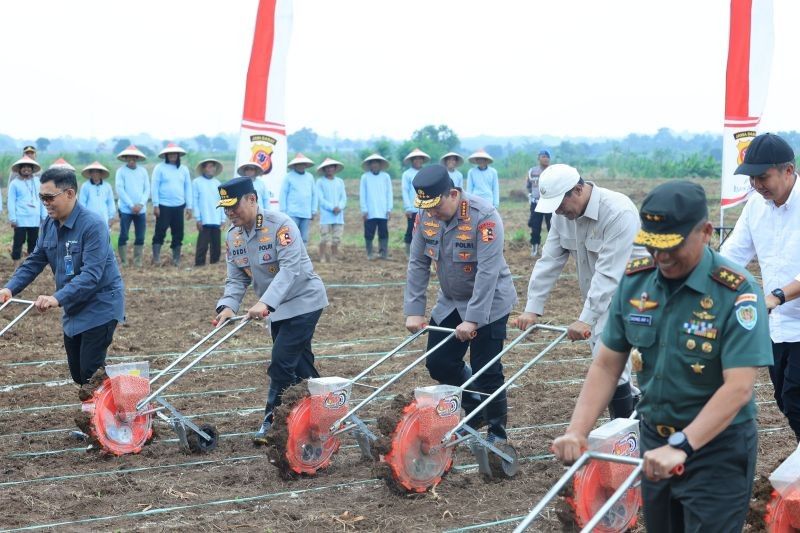 Polri Bidik Tanam Jagung 1 Juta Hektare, Dorong Swasembada Pangan 2025