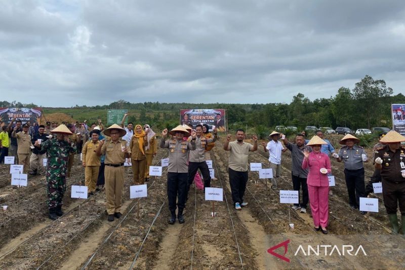 Forkopimda Bangka Barat Tanam Jagung, Dukung Ketahanan Pangan Nasional