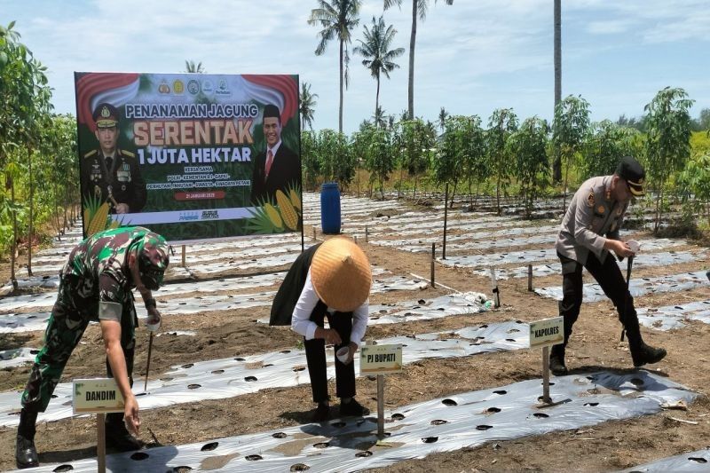 Polres Kulon Progo Target Tanam Jagung 15,9 Hektare untuk Ketahanan Pangan