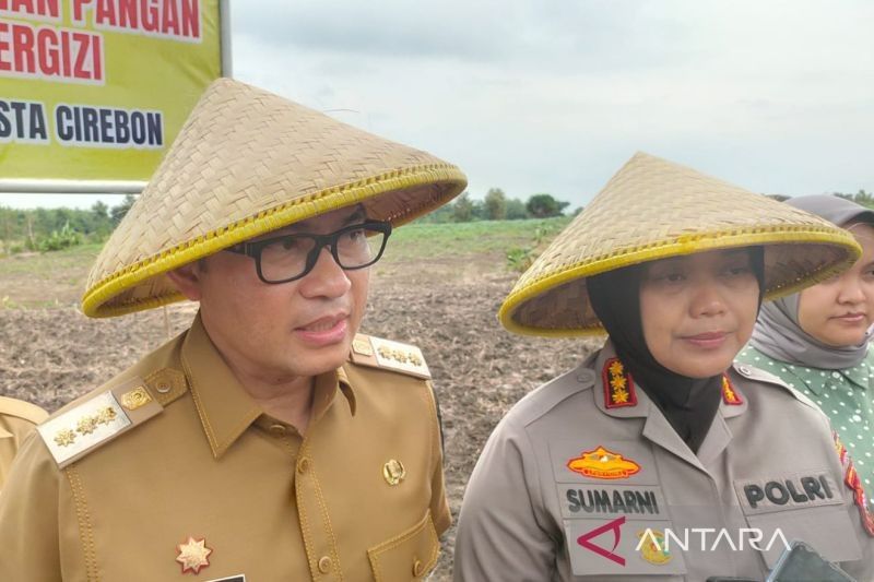 Pemkab Cirebon Sulap Lahan Tidur Jadi Ladang Jagung: Dorong Ketahanan Pangan Nasional