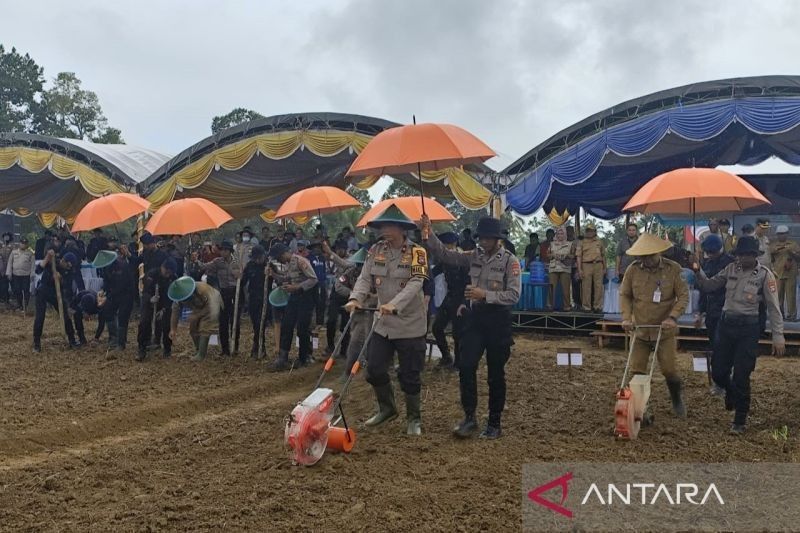 Polda Papua Barat Targetkan Tanam Jagung 15.000 Hektare