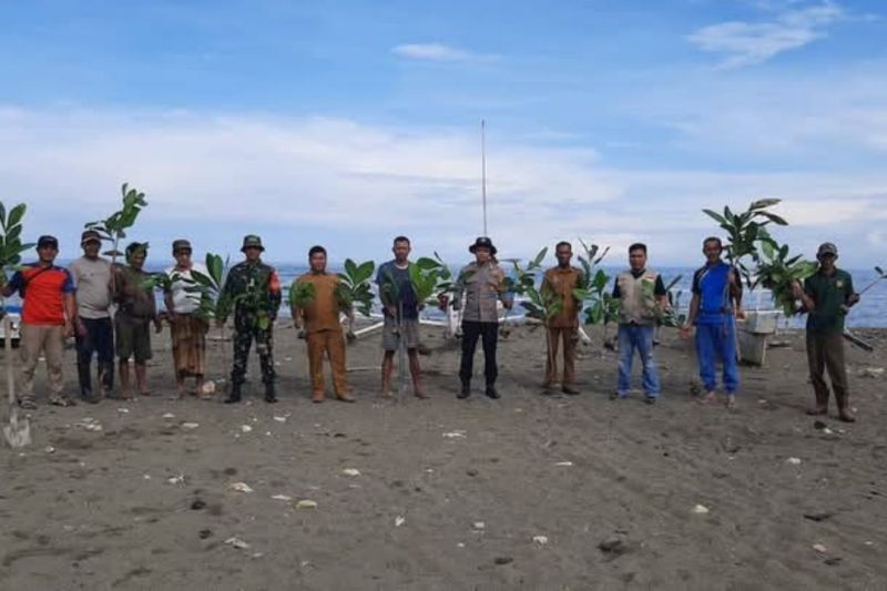 TNI Tanam Ratusan Pohon Ketapang Cegah Abrasi di Pasangkayu