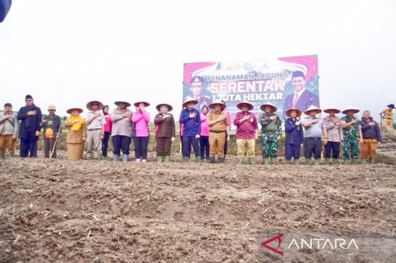 Polres Padang Panjang Tanam Jagung, Dukung Ketahanan Pangan Nasional