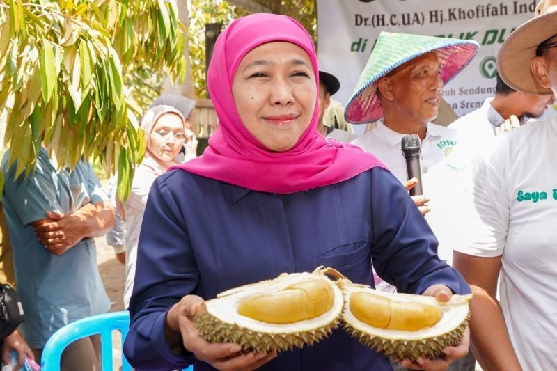 Khofifah Dorong Durian Jatim Jadi Raja Ekspor