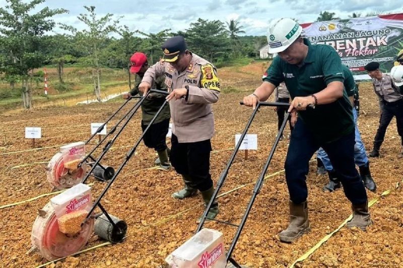 Astra Agro Lestari Tanam Jagung Dukung Swasembada Pangan 2025