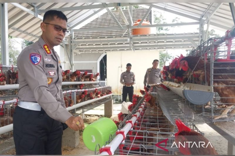 Polda Babel Bagikan Telur Hasil Ketahanan Pangan ke Warga