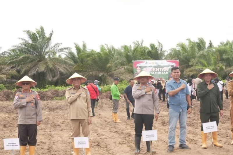 Kubu Raya Dukung Program Jagung Nasional: 15,8 Hektare Lahan Digarap