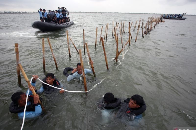 KLH Tetapkan Pagar Laut Tangerang Ilegal: Ancaman Lingkungan dan Investigasi Lanjut