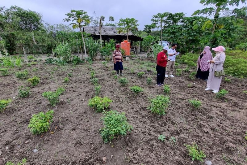 Palu Mandiri Tangguh Pangan: Strategi Pemkot Palu Kendalikan Inflasi