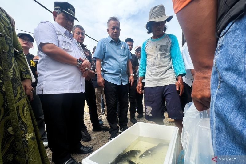 Koperasi Mambo Mina Mekar: Dorong Ketahanan Pangan Nasional