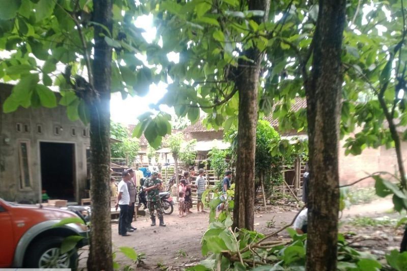 Pohon Jati Tumbang Timpa Rumah di Blitar, BPBD Turun Tangan