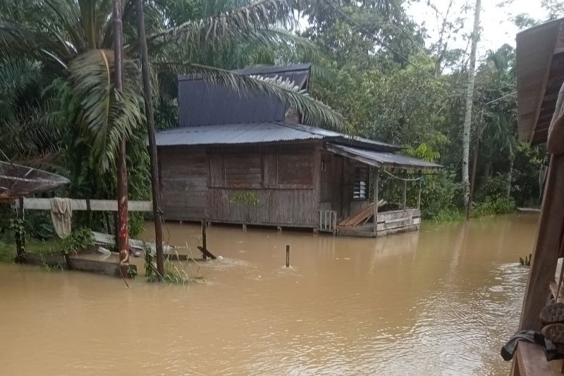 Banjir Bengkayang Meluas: 4 Desa Terendam, BPBD Siaga