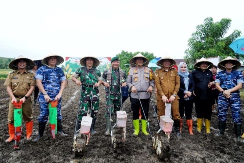 Pangdam XIV/Hasanuddin dan Forkopimda Tanam Jagung, Dukung Swasembada Pangan 2025