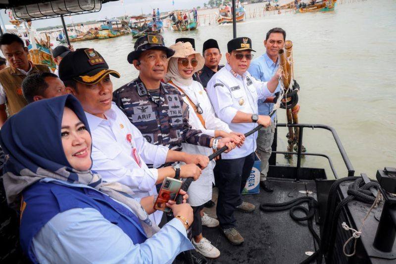 Pembongkaran Pagar Laut di Banten: Perintah Presiden Jokowi