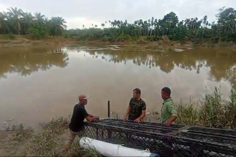 BKSDA Aceh Pasang Perangkap Buaya di Aceh Timur: Cegah Serangan dan Lindungi Warga