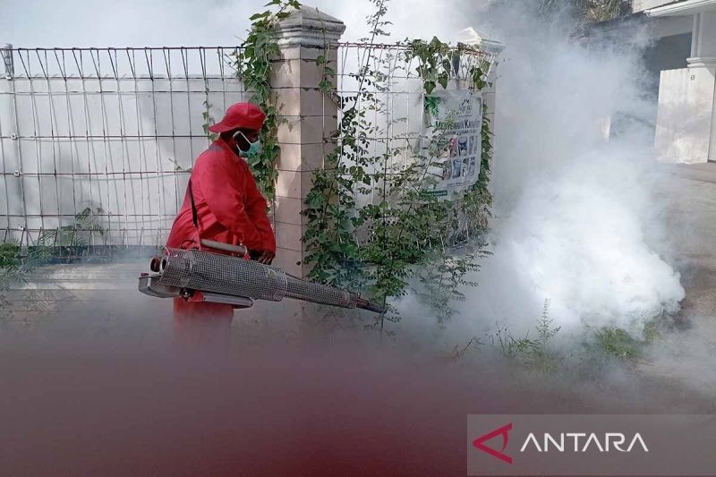 Dinkes Banda Aceh Fogging Cegah Demam Berdarah: 15 Kasus di Awal 2025