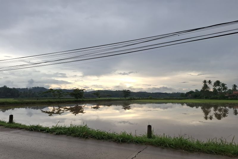 Banjir Lampung Rusak Ribuan Hektare Lahan Pertanian