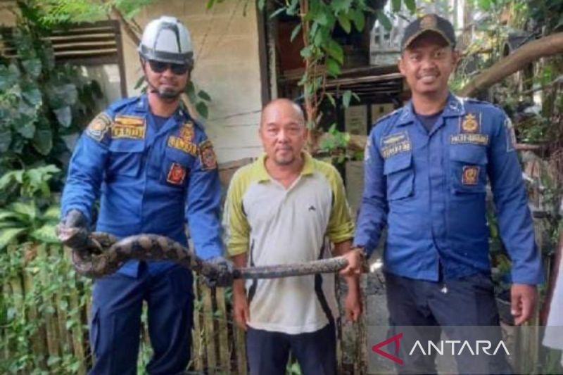 Kalsel Siapkan Layanan Tanggap Darurat Hewan Melata Saat Banjir