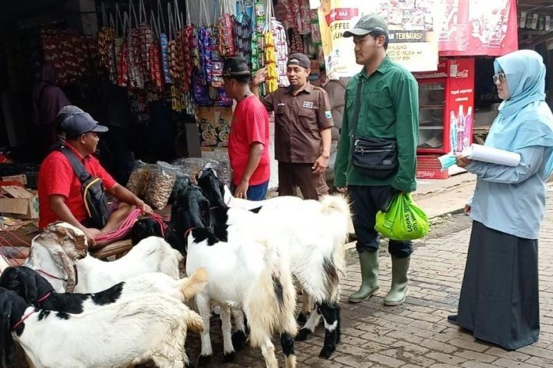 Pemkab Probolinggo Perketat Pengawasan Lalu Lintas Hewan Cegah PMK