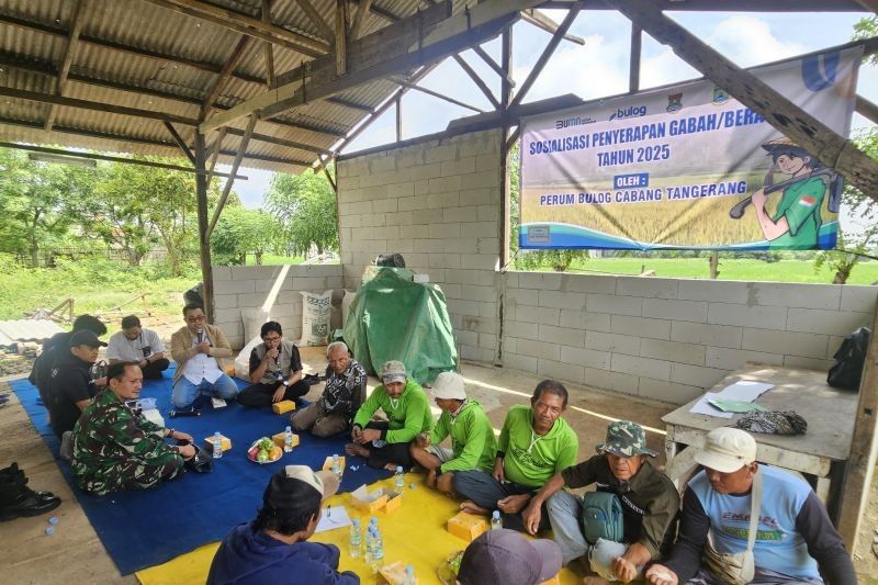 Pemkot Tangerang & Bulog Jalin Kerja Sama Serap Gabah Petani Lokal