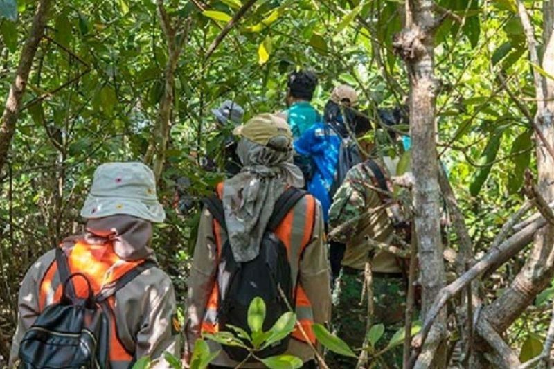 Dishut Malut Perkuat Komitmen Lestarikan Hutan di Maluku Utara