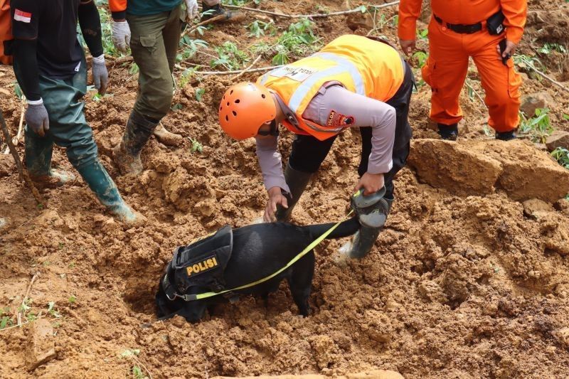 Tim K-9 Polda Jateng Temukan Bayi Korban Longsor Pekalongan