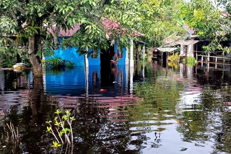 Banjir Rendam Ratusan Rumah di Bengkayang, Kalimantan Barat