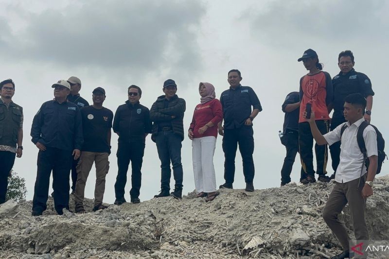 KLH Segel Pembangunan, 40 Ribu Mangrove di Pulau Pari Rusak