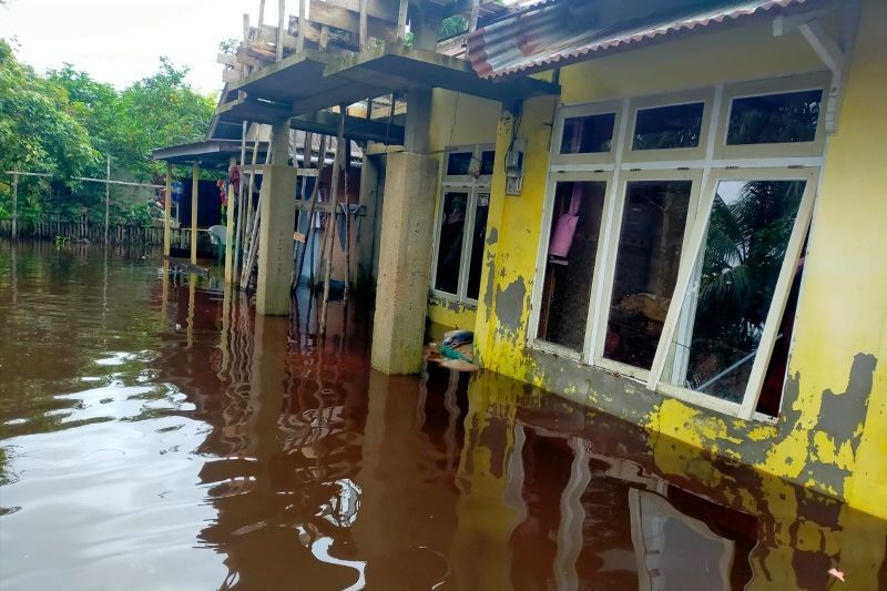 Banjir Singkawang Kembali Rendam Puluhan Rumah Warga