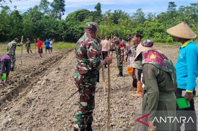 Kodim SBB dan Warga Tanam Jagung 10 Hektare untuk Ketahanan Pangan