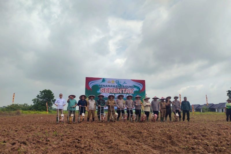 Petani Lebak Didorong Tanam Jagung, Dukung Swasembada Pangan