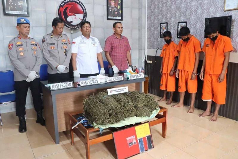 Polres Langsa Ringkus Tiga Pengedar 10 Kg Ganja di Langsa