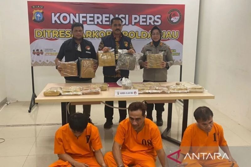 Polda Riau Gagalkan Peredaran 15,6 Kg Ganja dari Sumut