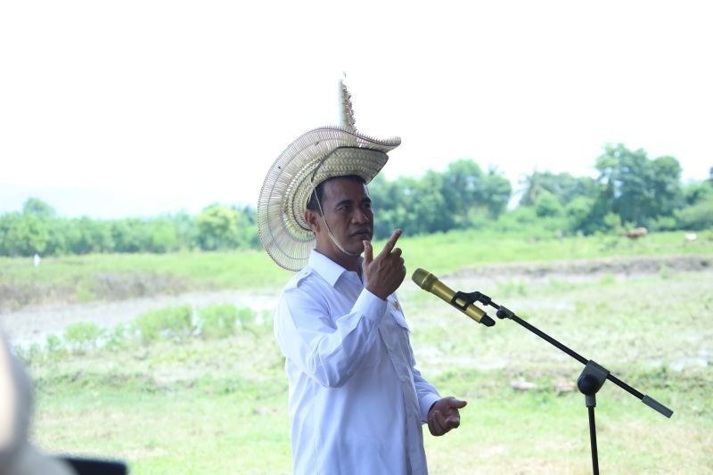 Mentan Amran Sulaiman Kecam Impor Singkong: Jangan Zalimi Petani!