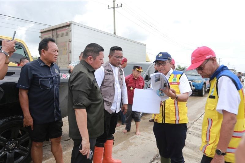 Solusi Jalan Layang Antisipasi Banjir di Pelalawan, Riau