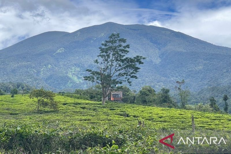 Sukabumi Andalkan Pariwisata dan Pertanian untuk Dongkrak PAD