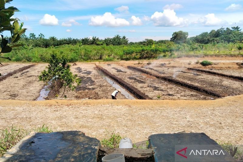 Mukomuko Sosialisasi Program Cetak Sawah Baru 2025