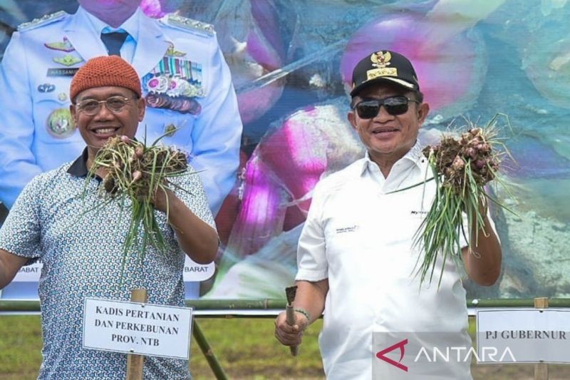 Pj Gubernur NTB Dorong Inovasi Pertanian Bawang Merah di Sumbawa