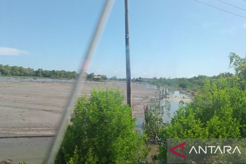 Polres Maros Selidiki Perusakan Mangrove di Marusu, Sulawesi Selatan