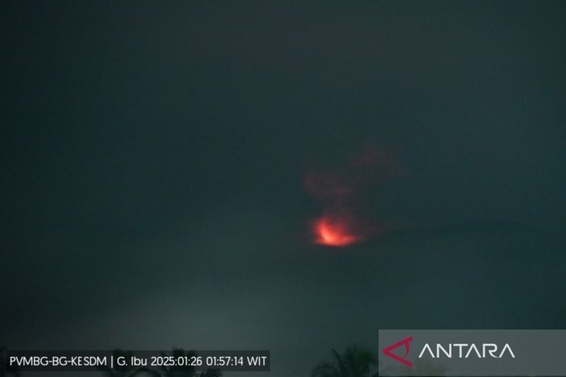 Gunung Ibu di Maluku Utara Erupsi, Keluarkan Abu Vulkanik hingga 1200 Meter