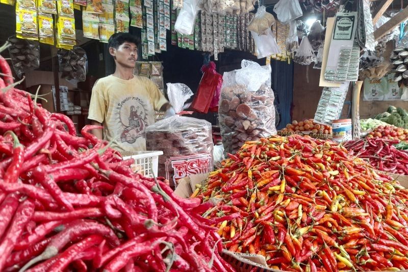 Cuaca Buruk Picu Lonjakan Harga Cabai di Serang, Sentuh Rp120.000/kg