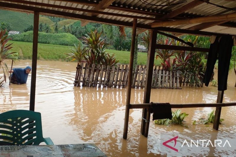 Banjir Rendam Dua Kecamatan di Gorontalo Utara: 250 KK Terdampak