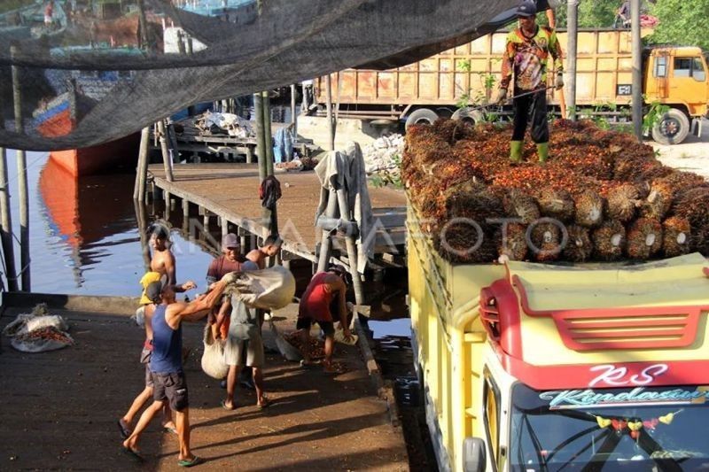 Libur Nasional: Pabrik Kelapa Sawit Mukomuko Tutup Sementara