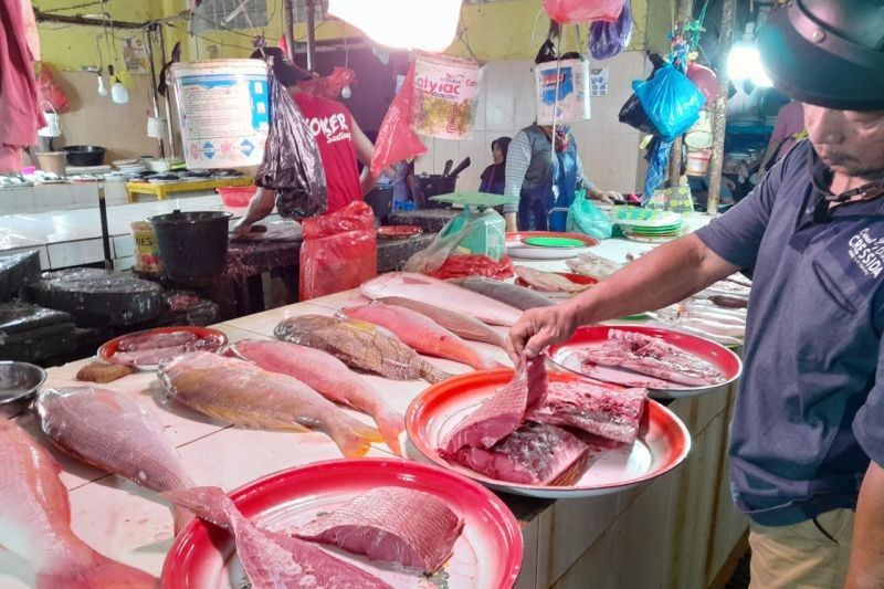 Harga Ikan di Ternate Stabil, Pasokan Melimpah