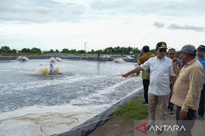 Milenial NTB Diajak Kembangkan Usaha Budidaya Udang