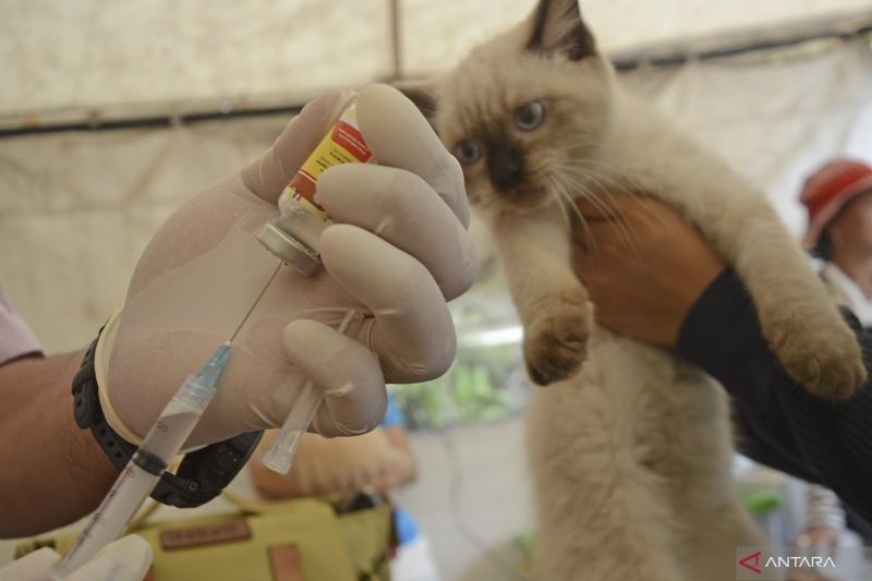 268 Hewan di Cakung Barat, Jakarta Timur, Terima Vaksin Rabies